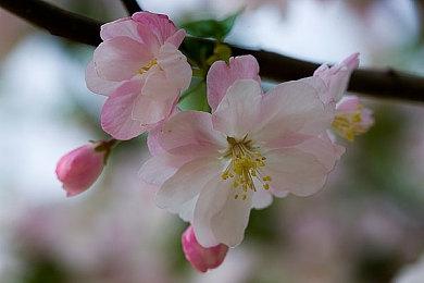 《星际拓荒》全新内容扩展包将于9月28日上市